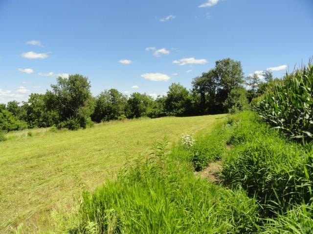 Picture 24