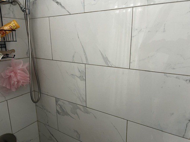 Picture 8