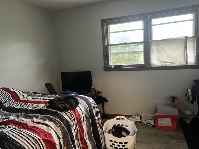 Picture 11