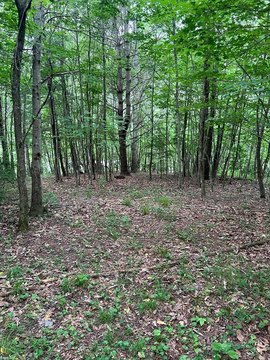 LAND - Troutdale, VA