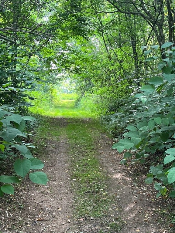 Picture 7