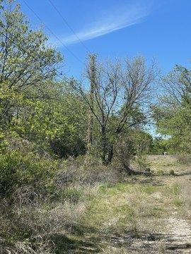 26.25 Acres Development Opportunity