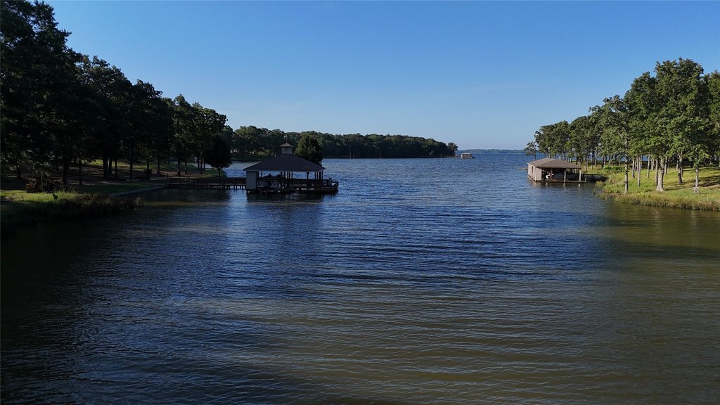 Picture 8