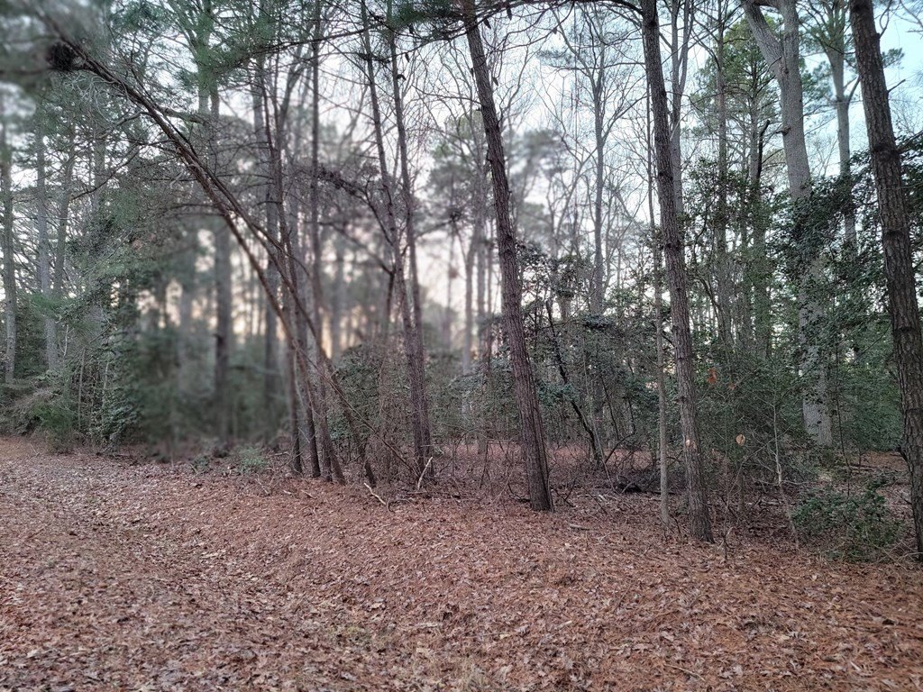 Picture 3