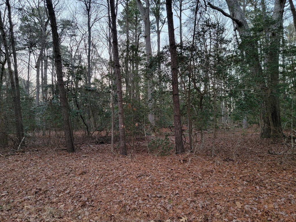 Picture 2