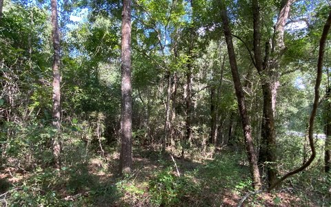Recreation Land with River Access Rights