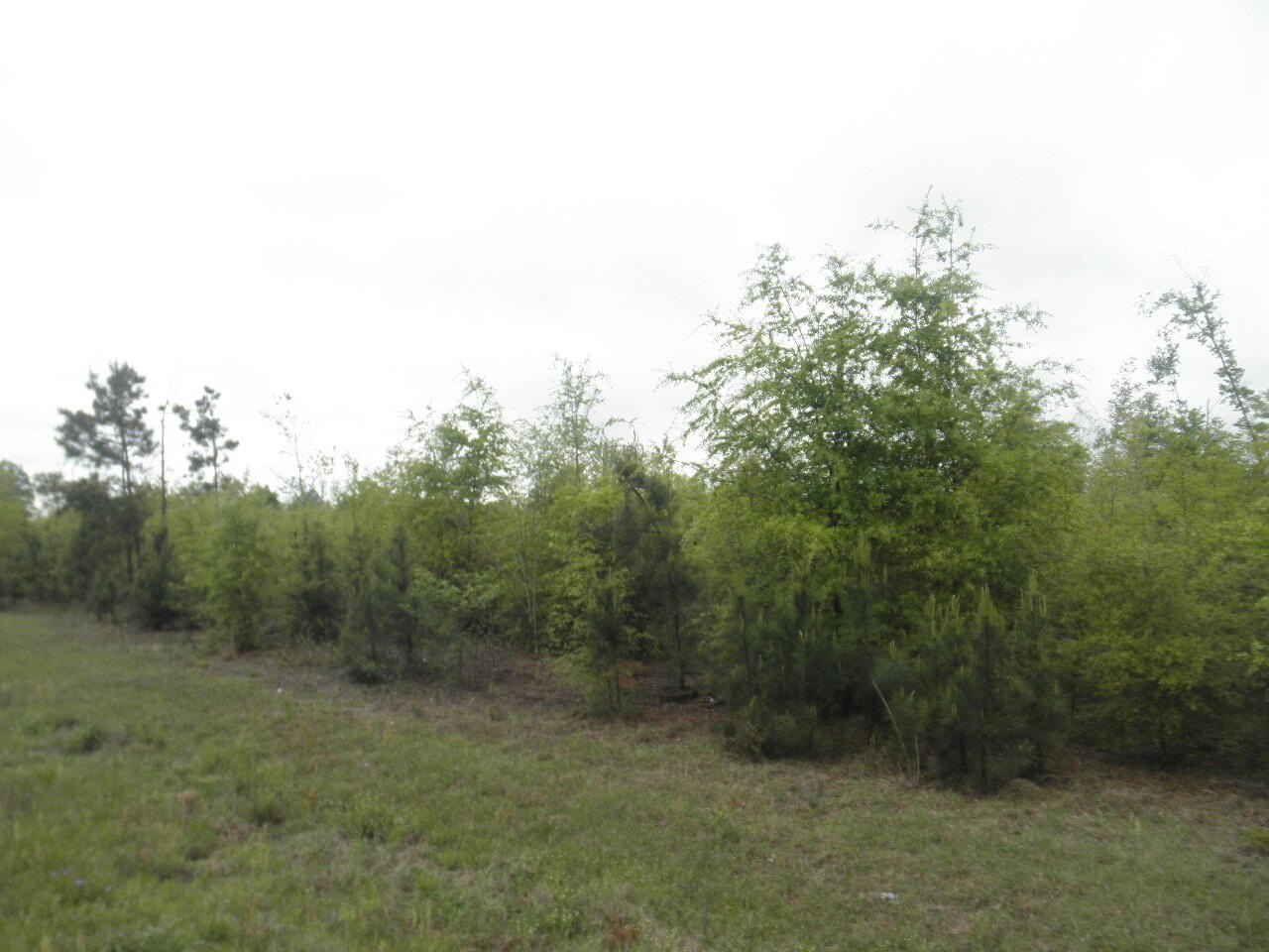 Highway 23 Land For Sale