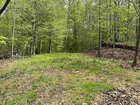 LAND - Eddyville, KY