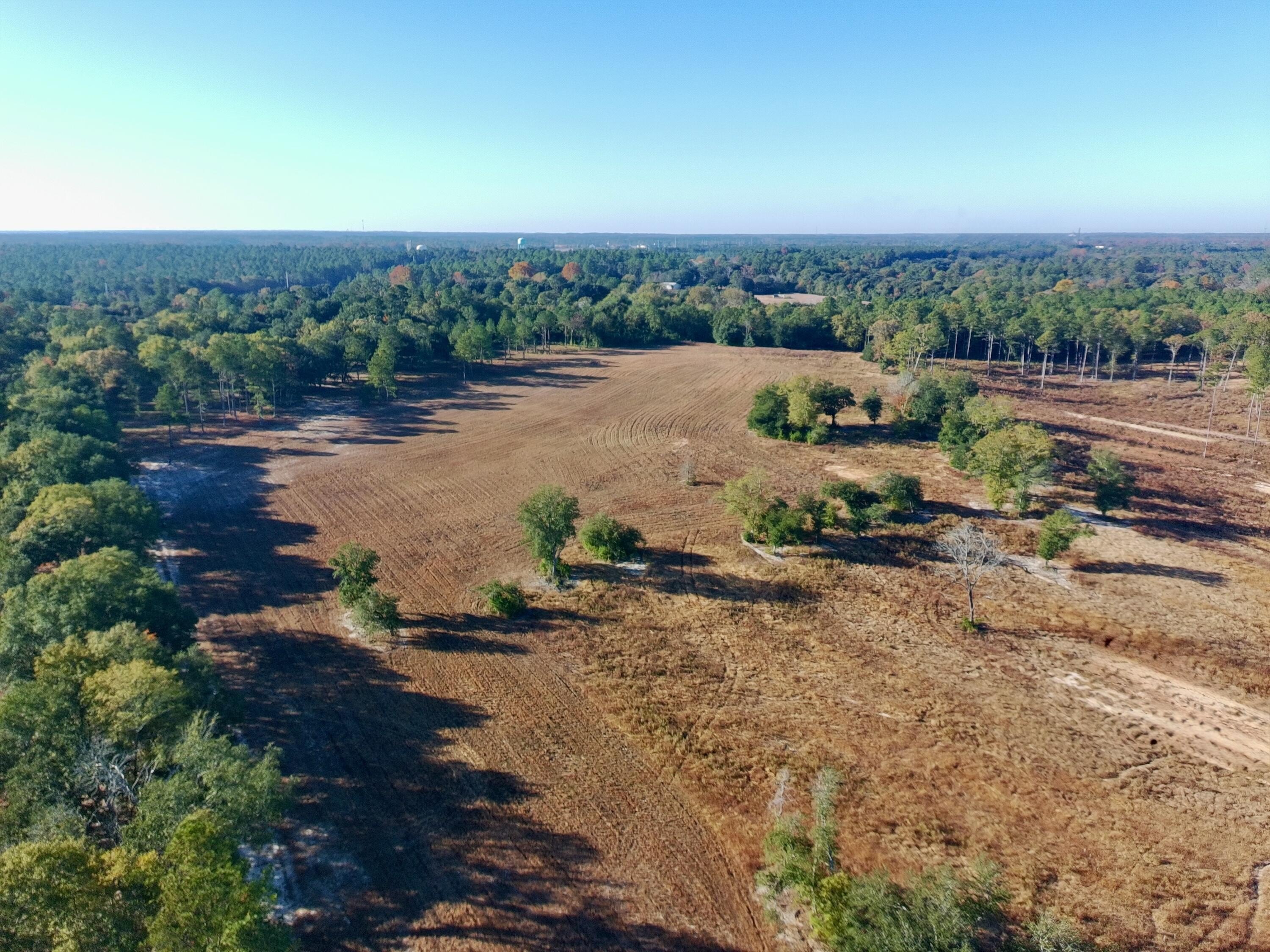 Aiken Equestrian Land Opportunity