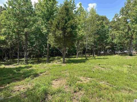 Dockable Waterfront Lot