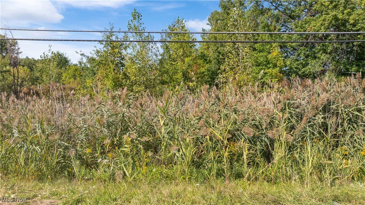 Residential Lot in North Ridgeville