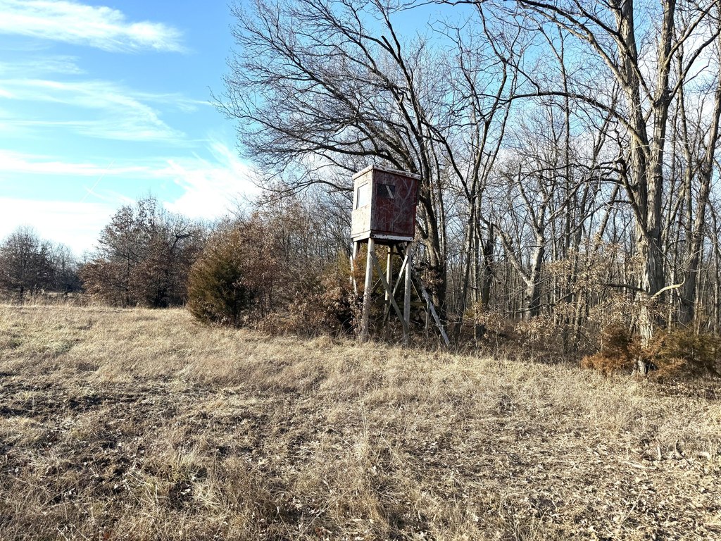 Picture 24