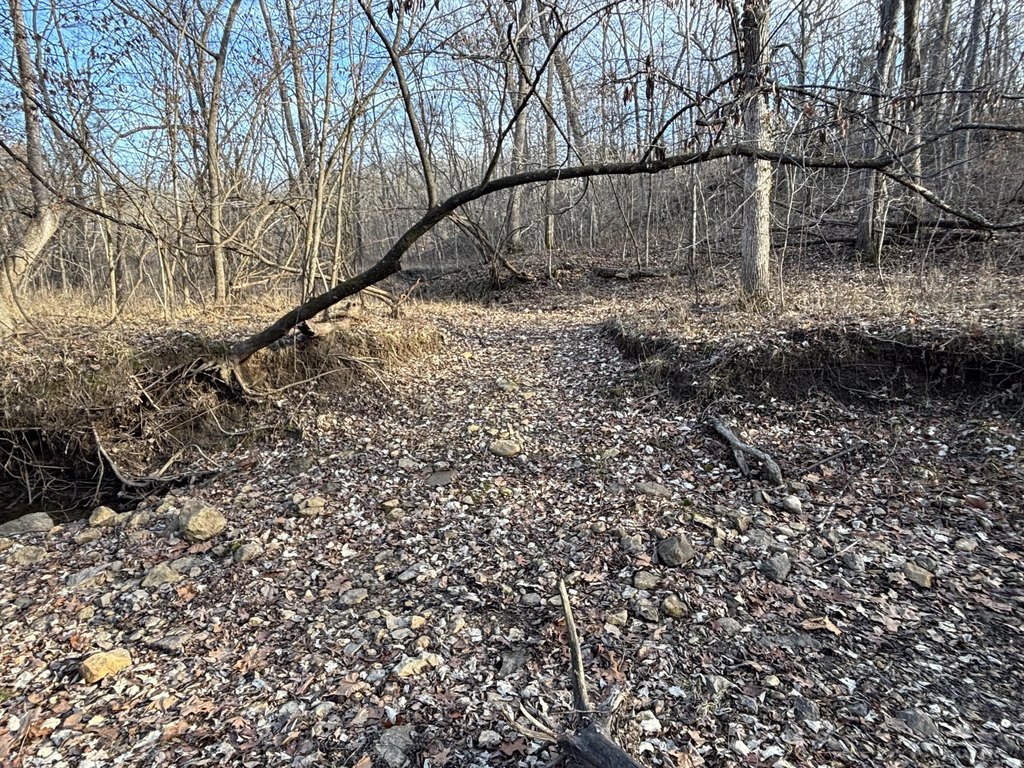 Picture 31