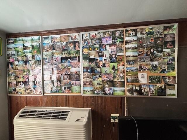 Picture 41