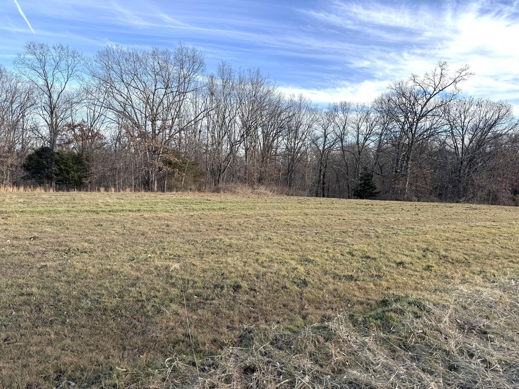 Picture 19