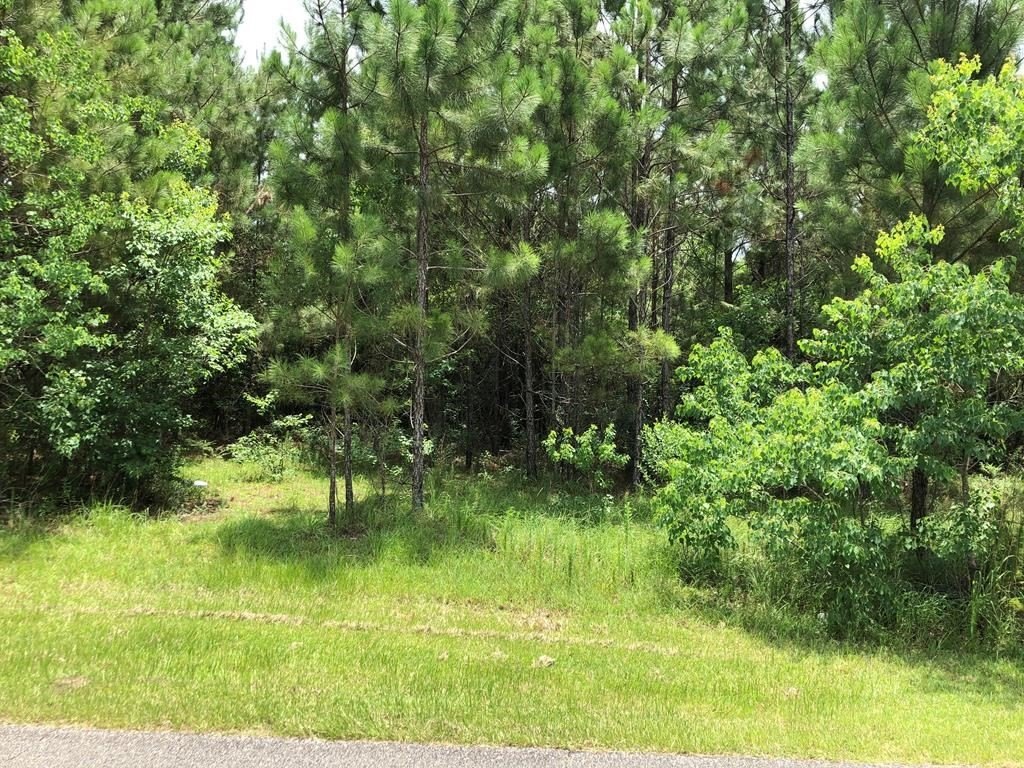 Picture 6