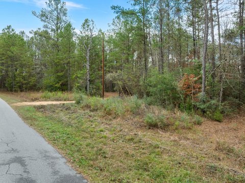 Undeveloped Land for Homesite, Hunting