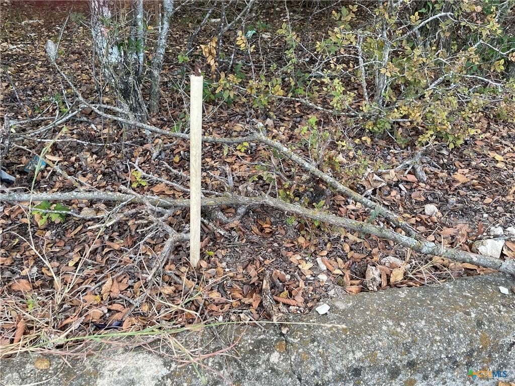 Picture 15