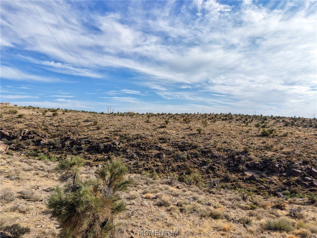 Picture 24