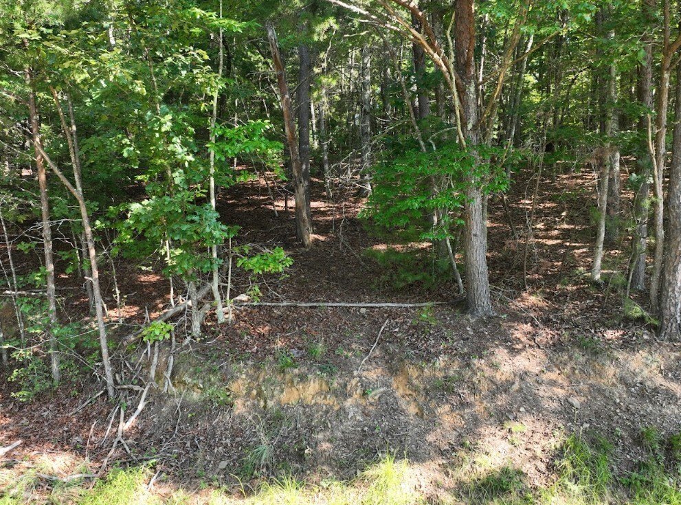 Picture 15