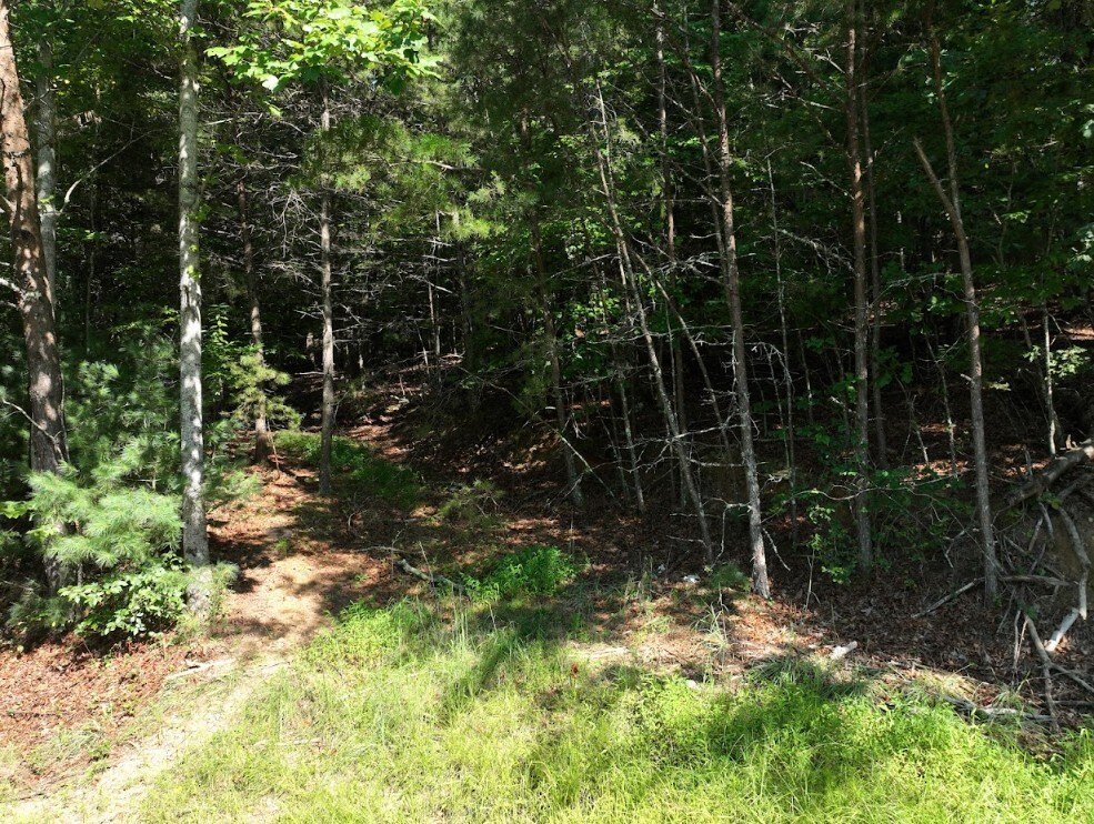 Picture 12