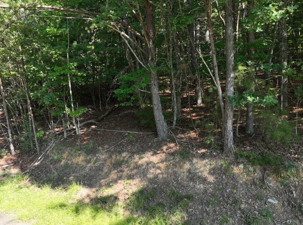 Picture 19