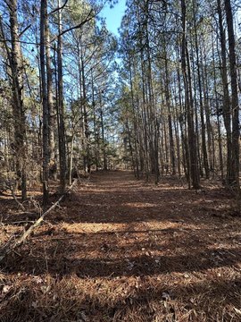Recreational Land Homesite Opportunity