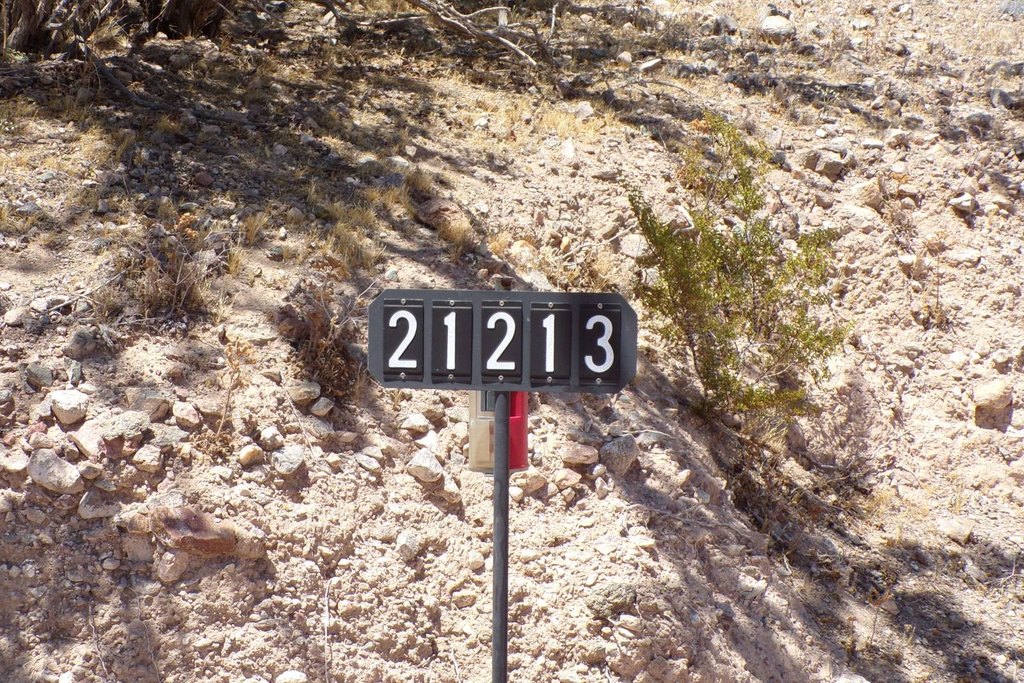 Picture 25