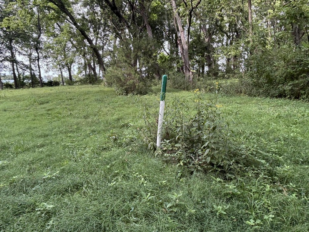 Picture 9