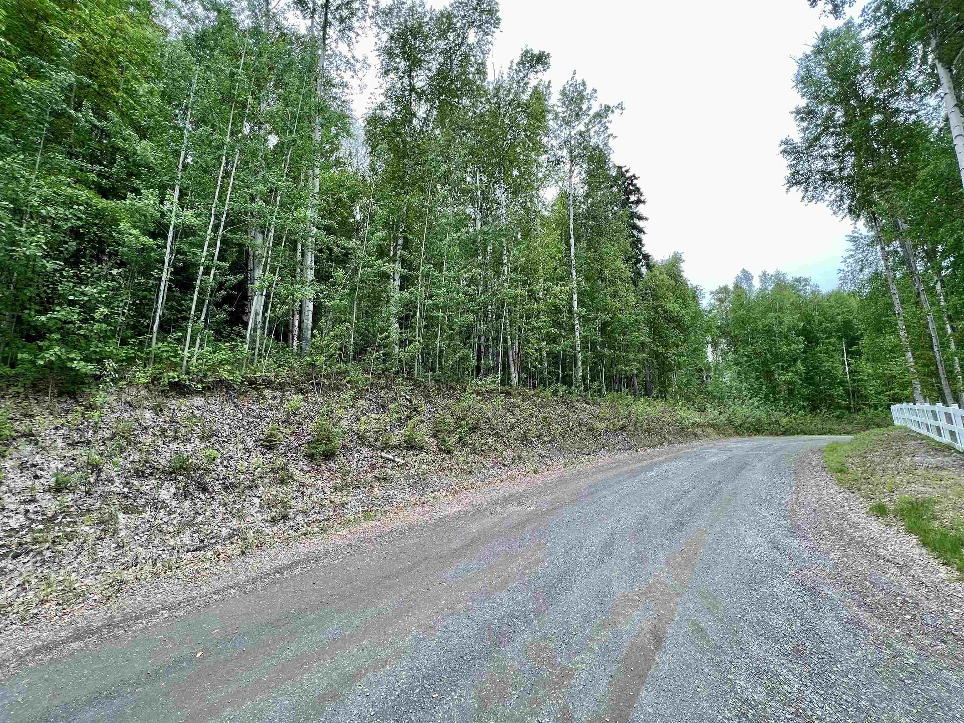 Fairbanks Land with Sloping Lot