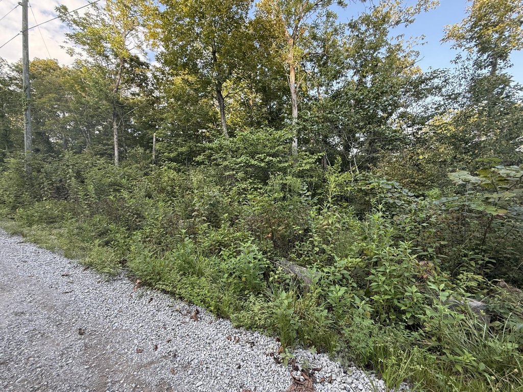 Picture 5