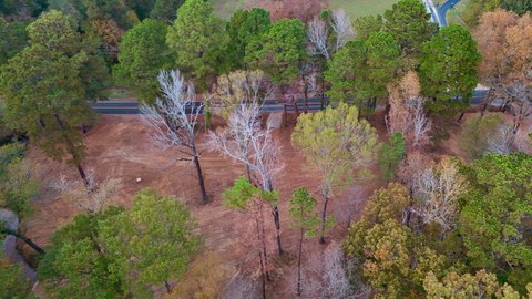Longview Acreage with Building Potential