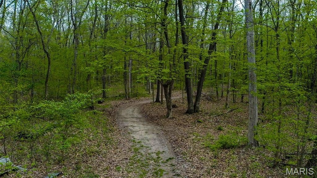 Picture 17