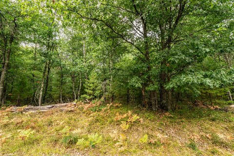 Land, Barnes, WI