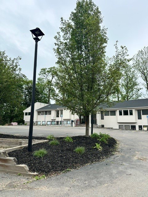 Picture 5