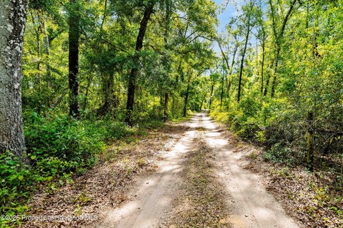 Brooksville Land: Country Paradise Awaits