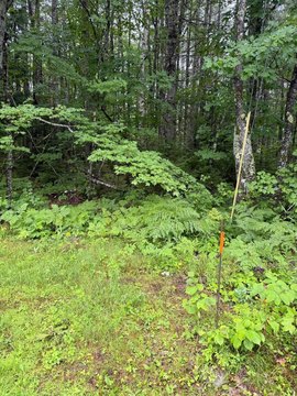 LAND - Chesterville, ME