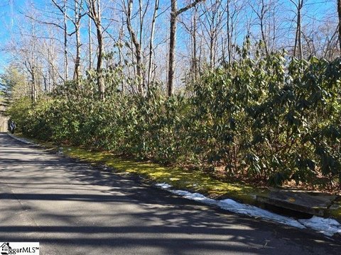 Lots/Land, Cleveland, SC