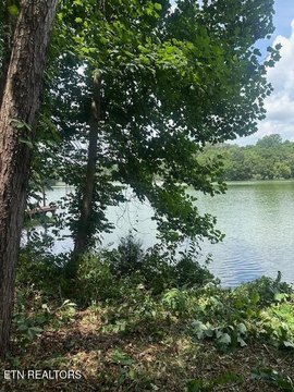 Lakefront Dockable Lot in Loudon