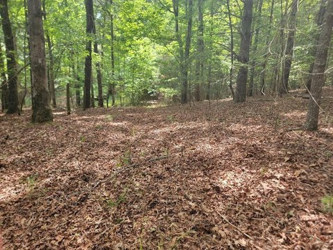Mountain-Setting Residential Land Lot