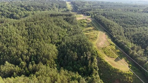 Monroe County Hunting and Timber