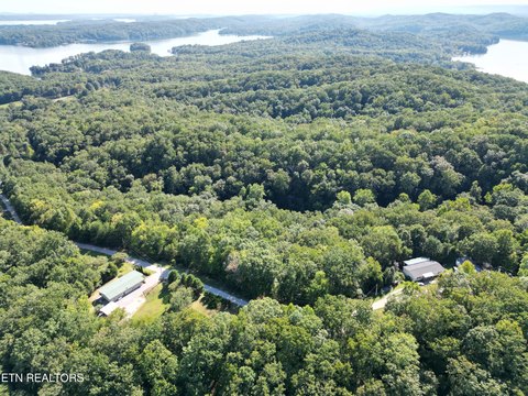 Lots & Acreage, Rockwood, TN