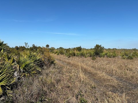 Okeechobee Agricultural Land For Sale