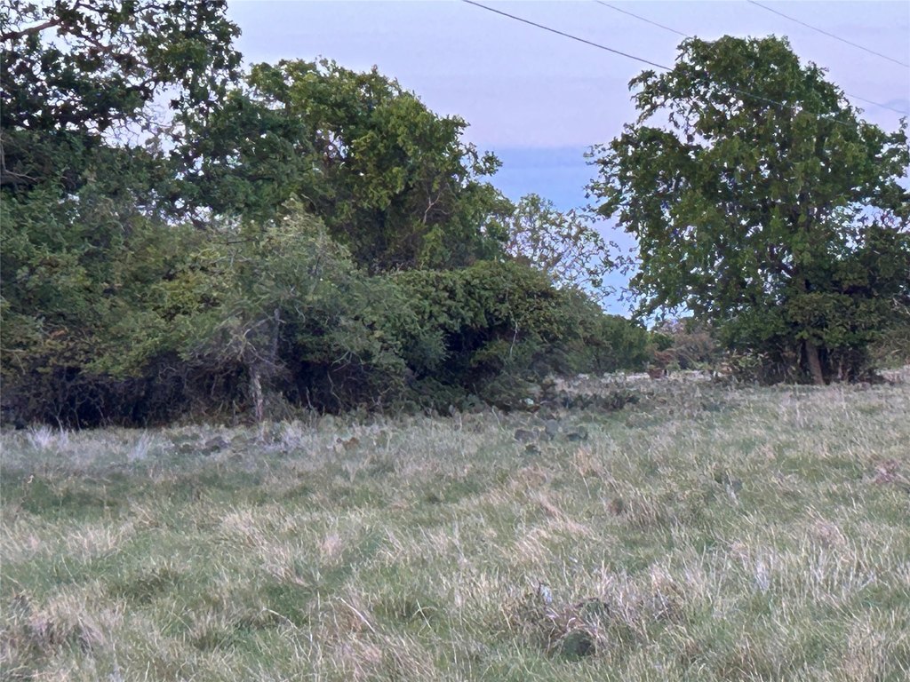 Picture 16