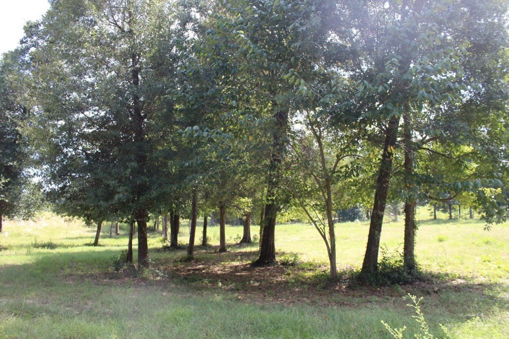 Picture 17
