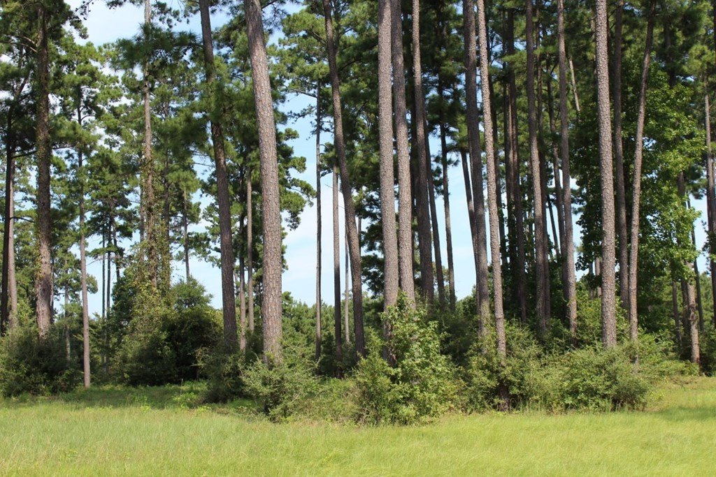 Picture 23
