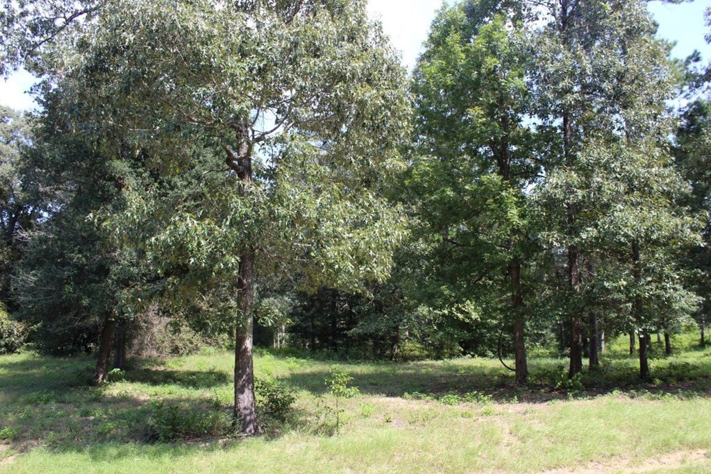 Picture 20