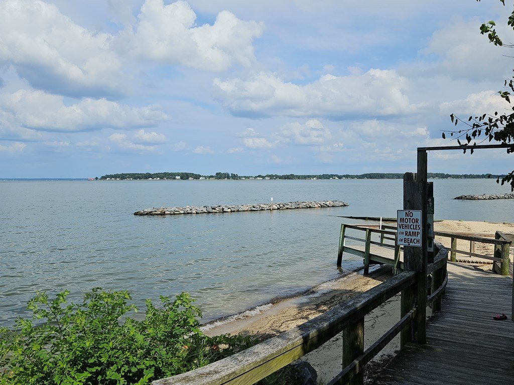 Picture 13