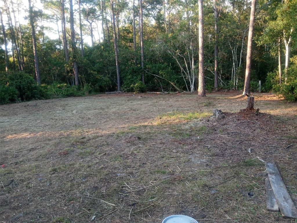 Picture 9