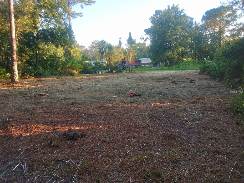 Picture 6